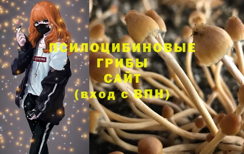 Галлюциногенные грибы Psilocybe  MEGA ONION  Бакал  где купить наркоту 